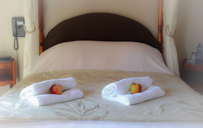 Logis Hotel Et Restaurant Du Dauphin Се Екстер'єр фото