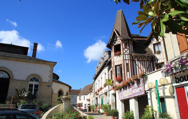 Logis Hotel Et Restaurant Du Dauphin Се Екстер'єр фото